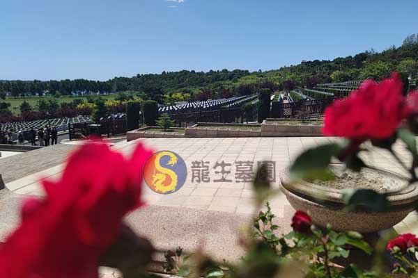 沈阳墓园精选：绿色环境与深刻寓意的理想安葬地